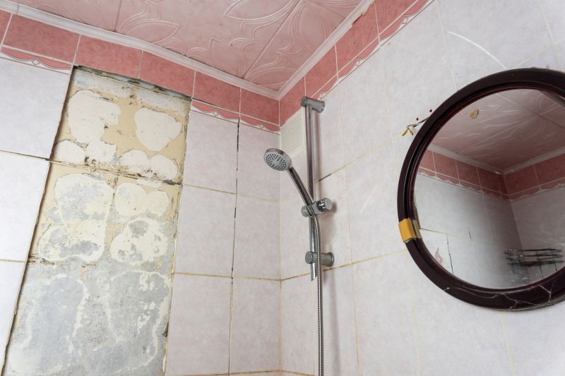 Top Shower Remodeling Companies in Lehigh Acres, FL