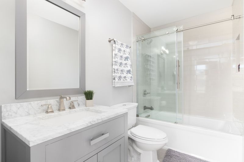 Top Tub To Shower Conversion Companies in North Fort Myers, FL